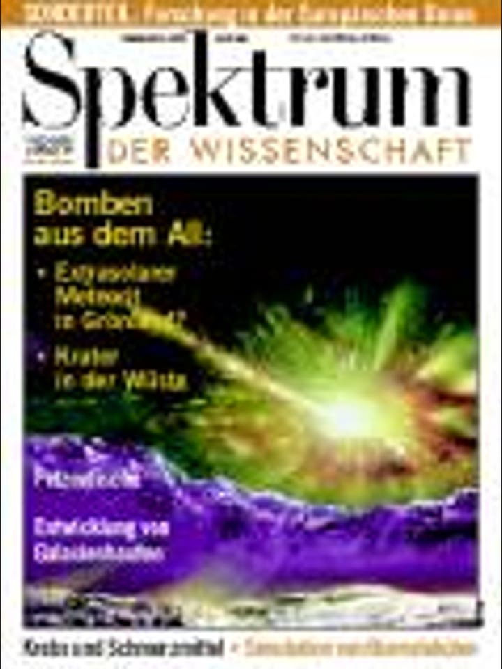 Spektrum der Wissenschaft - 2/1999 - 2 / 1999