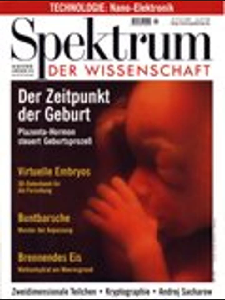 Spektrum der Wissenschaft - 6/1999 - 6 / 1999