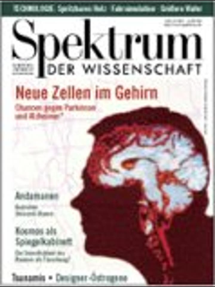 Spektrum der Wissenschaft - 7/1999 - 7 / 1999