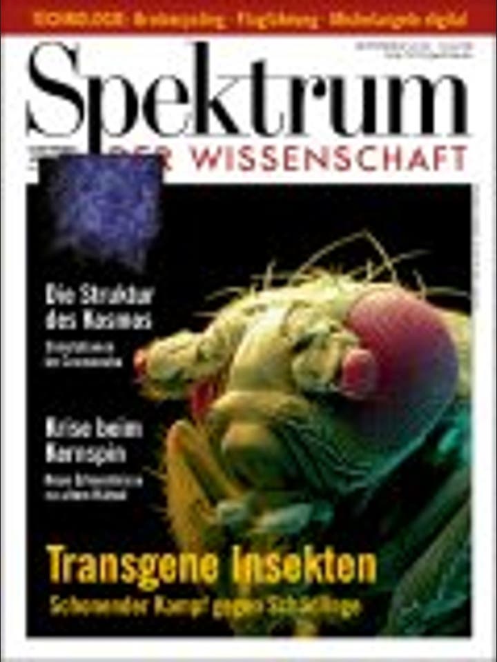 Spektrum der Wissenschaft - 9/1999 - 9 / 1999