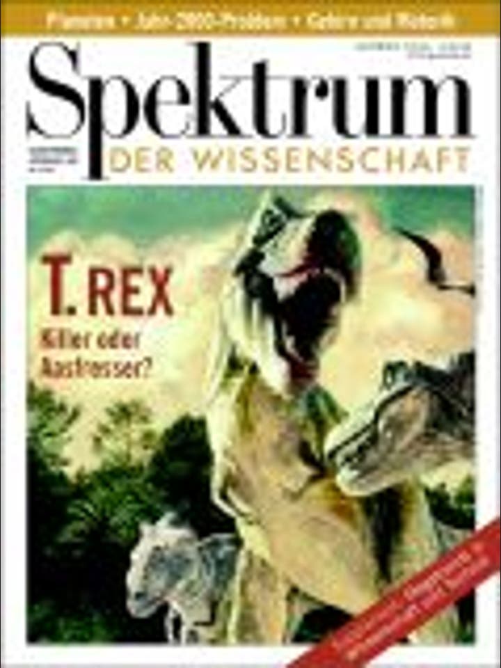 Spektrum der Wissenschaft – 11/1999 – 11 / 1999