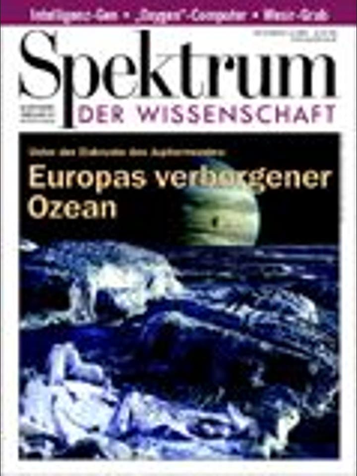 Spektrum der Wissenschaft – 12/1999 – 12 / 1999