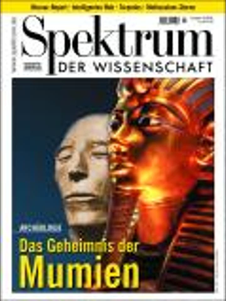 Spektrum der Wissenschaft – 8/2001 – 8 / 2001