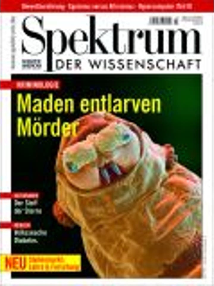 Spektrum der Wissenschaft - 3/2002 - 3 / 2002