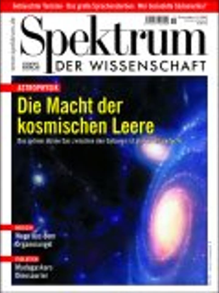 Spektrum der Wissenschaft - 11/2002 - 11 / 2002