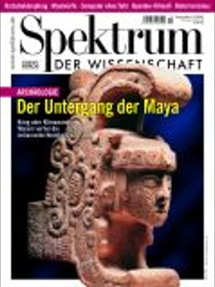 Spektrum der Wissenschaft - 12/2002 - 12 / 2002
