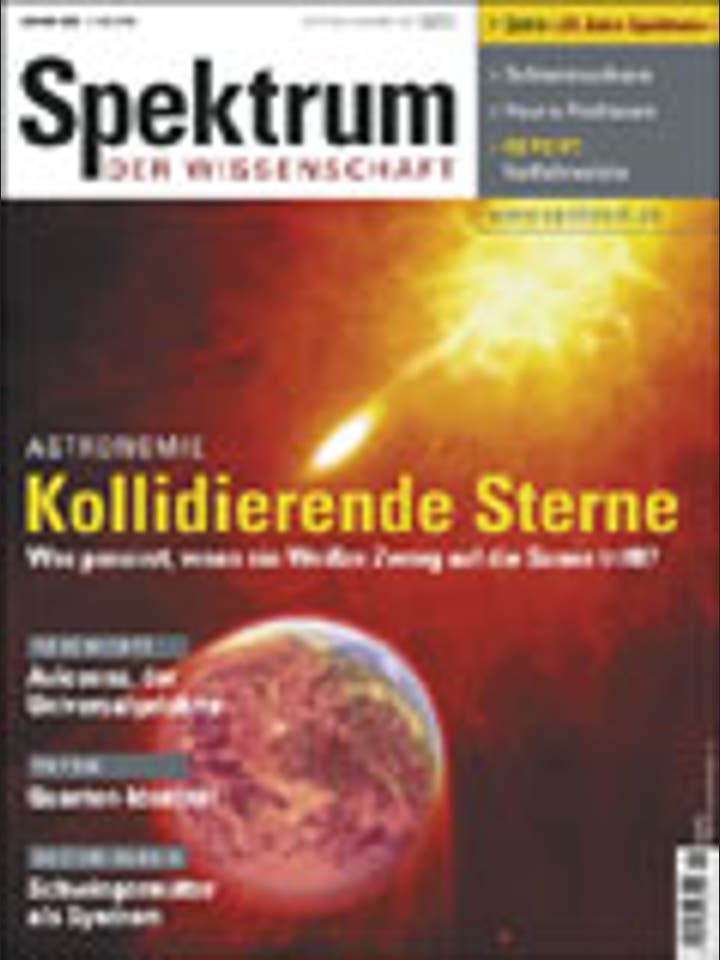 Spektrum der Wissenschaft - 1/2003 - 1 / 2003