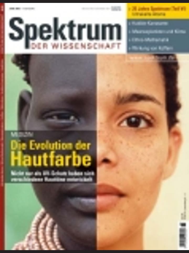 Spektrum der Wissenschaft – 6/2003 – 6 / 2003