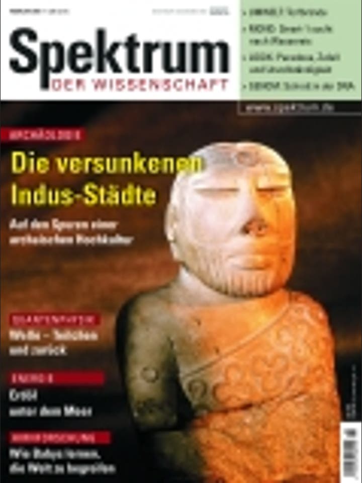 Spektrum der Wissenschaft - 2/2004 - Februar 2004