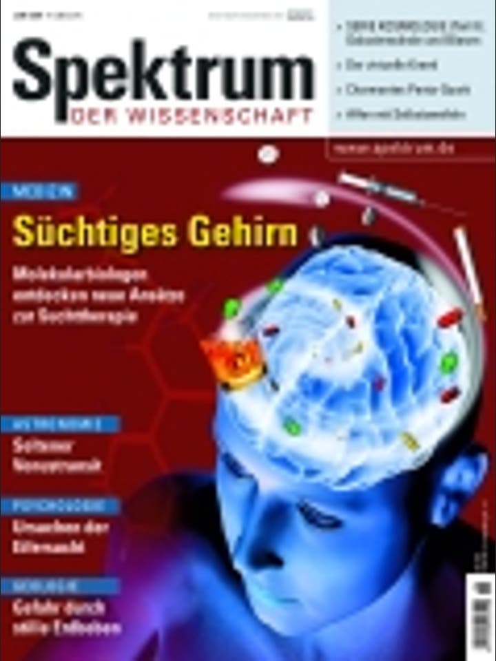 Spektrum der Wissenschaft - 6/2004 - Juni 2004