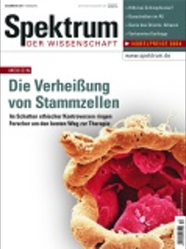 Spektrum der Wissenschaft – 12/2004 – Dezember 2004