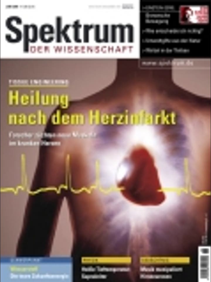 Spektrum der Wissenschaft - 6/2005 - Juni 2005