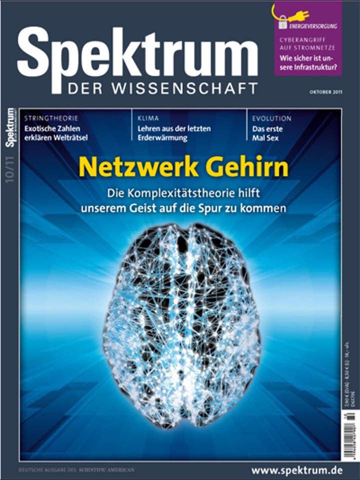 Spektrum der Wissenschaft – 10/2011 – Netzwerk Gehirn