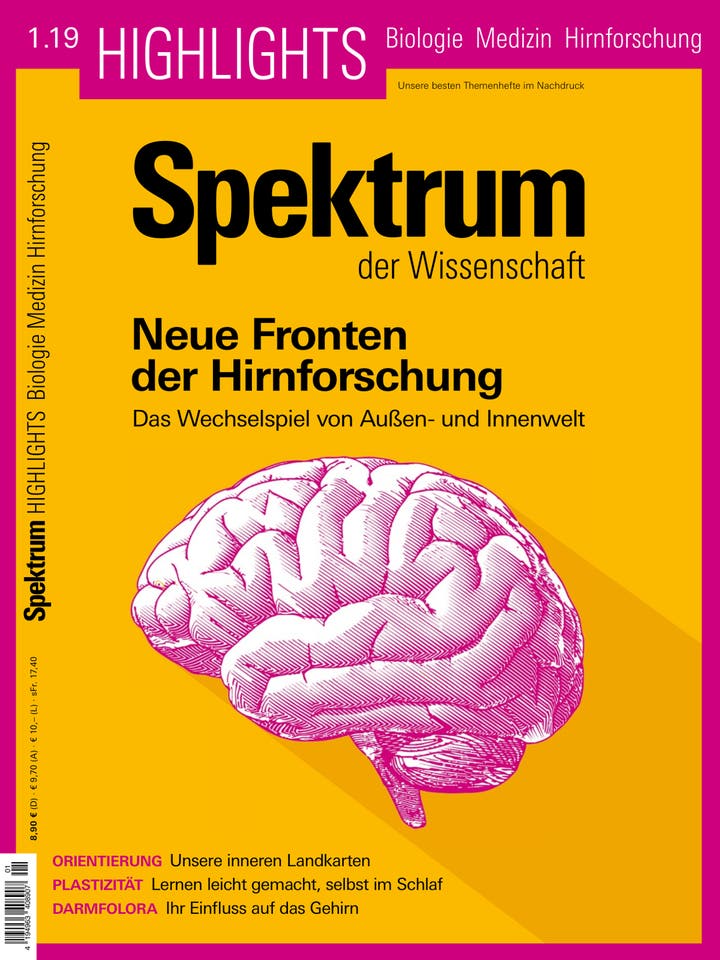 Spektrum der Wissenschaft Highlights - 1/2019 - Neue Fronten der Hirnforschung
