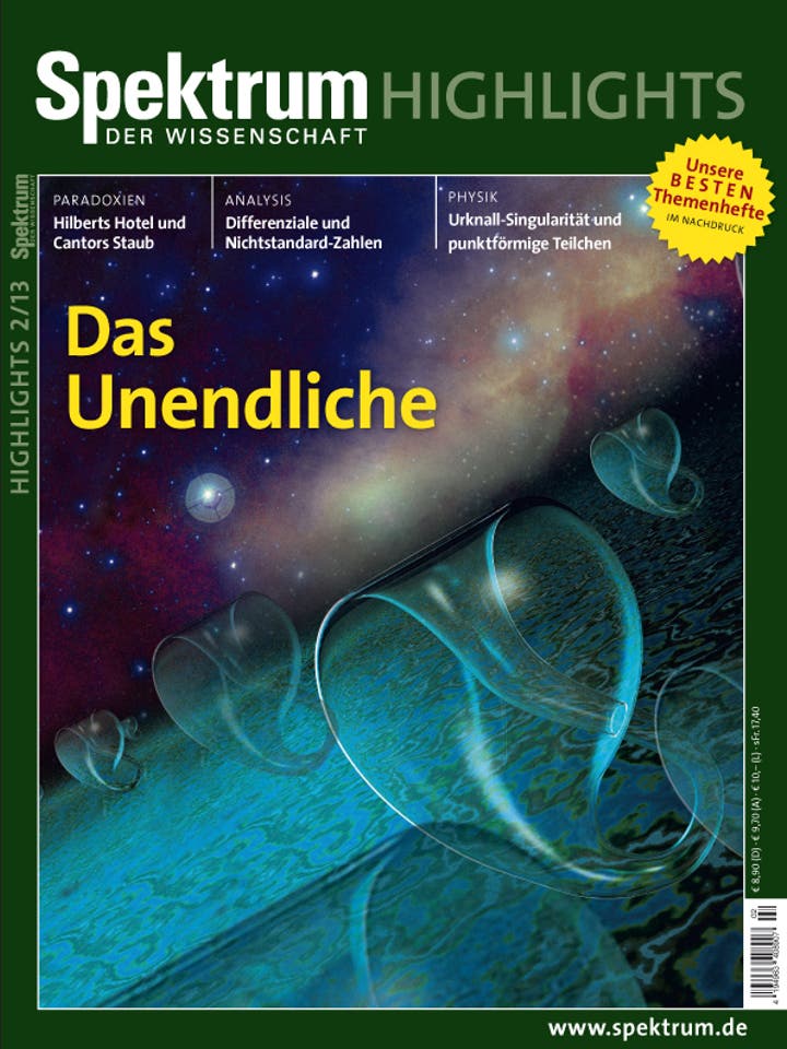 Spektrum der Wissenschaft Highlights - 2/2013 - Das Unendliche