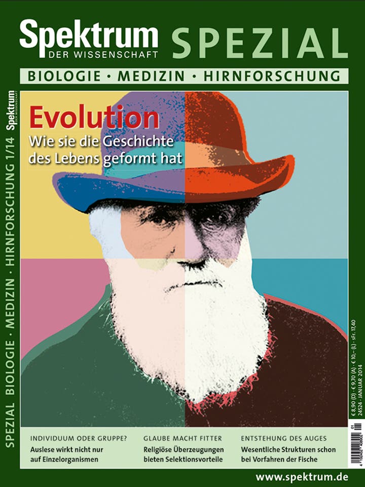 Spektrum der Wissenschaft Spezial Biologie - Medizin - Hirnforschung - 1/2014 - Evolution