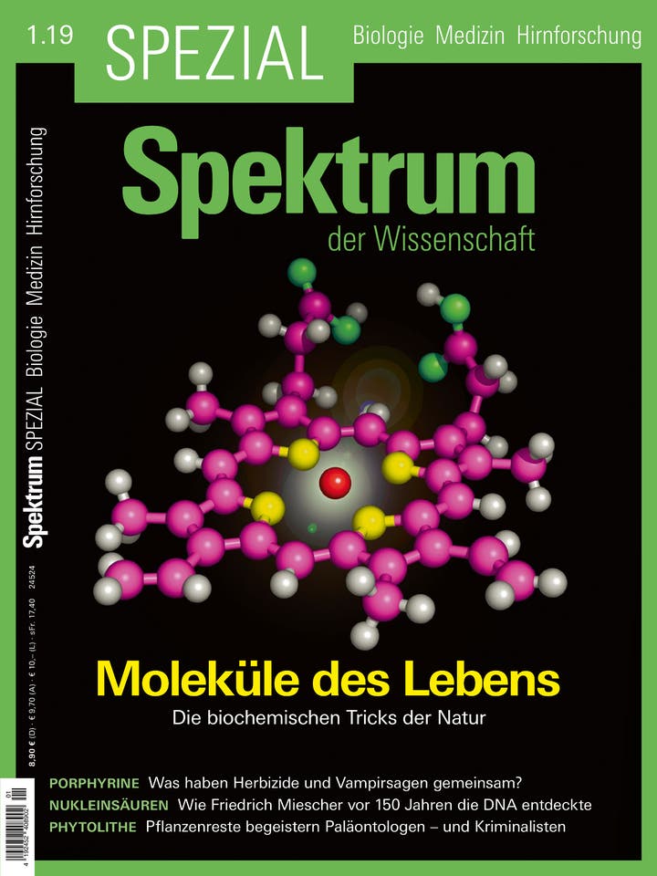 Spektrum der Wissenschaft Spezial Biologie – Medizin – Hirnforschung – 1/2019 – Moleküle des Lebens