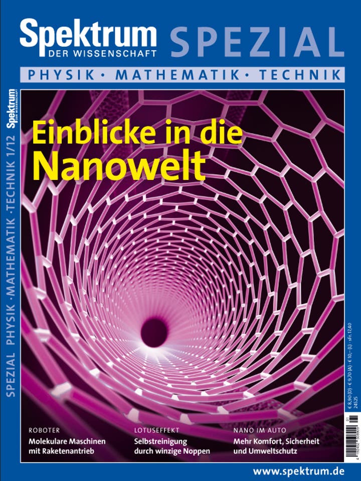 Spektrum der Wissenschaft Spezial Physik - Mathematik - Technik - 1/2012 - Einblicke in die Nanowelt