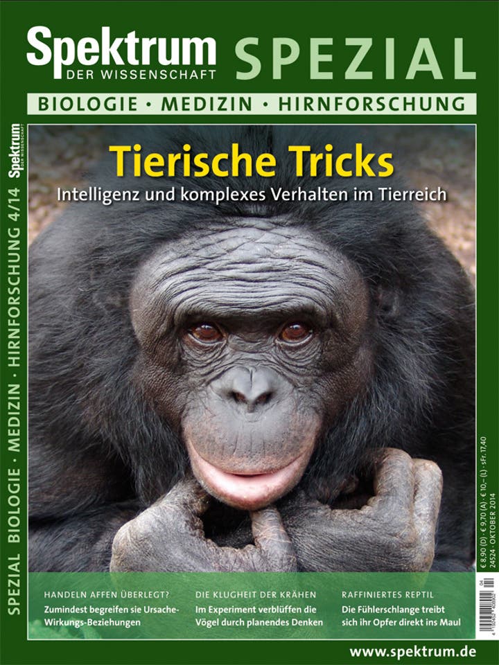 Spektrum der Wissenschaft Spezial Biologie - Medizin - Hirnforschung - 4/2014 - Tierische Tricks
