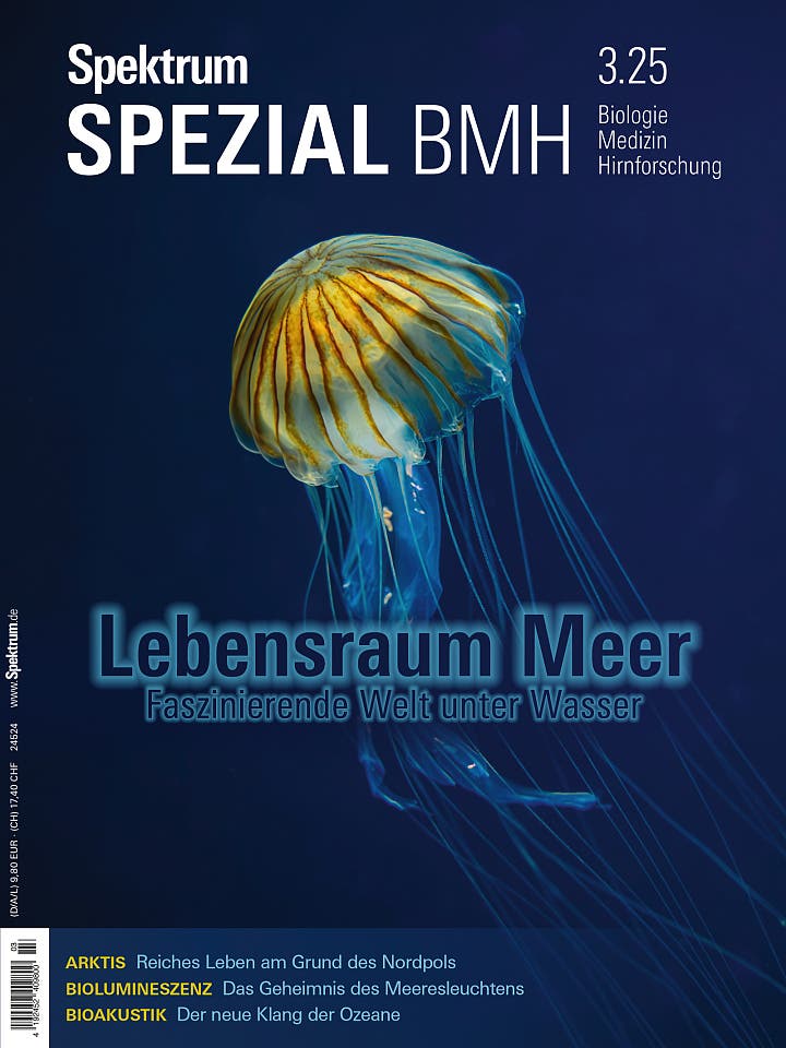 Cover BMH