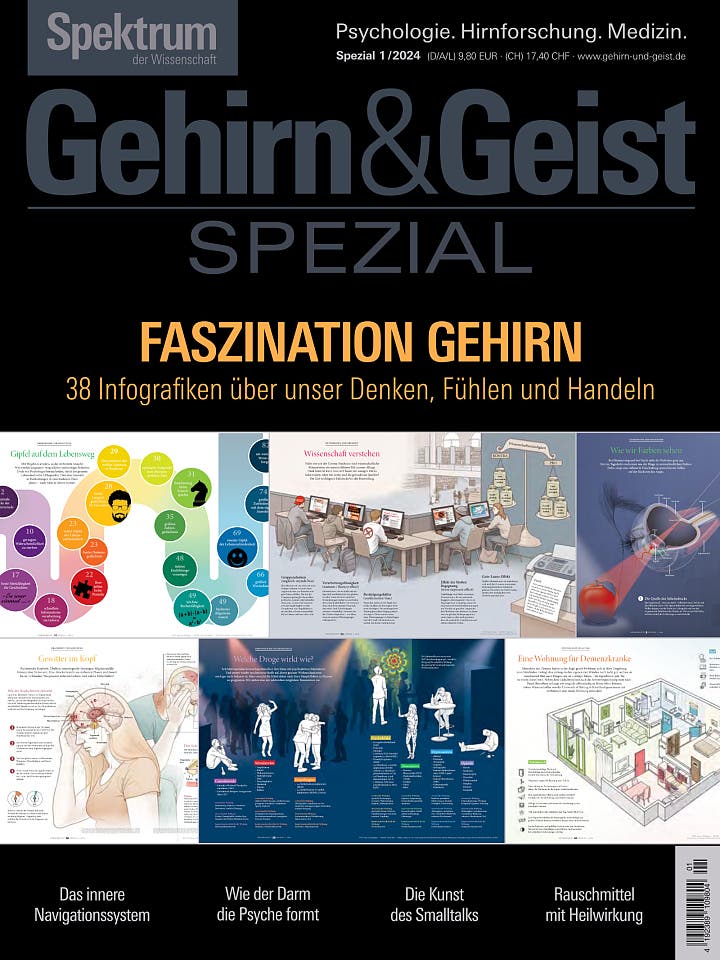 Faszination Gehirn