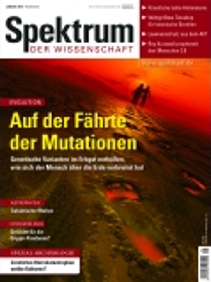 Januar 2006 Januar 2006