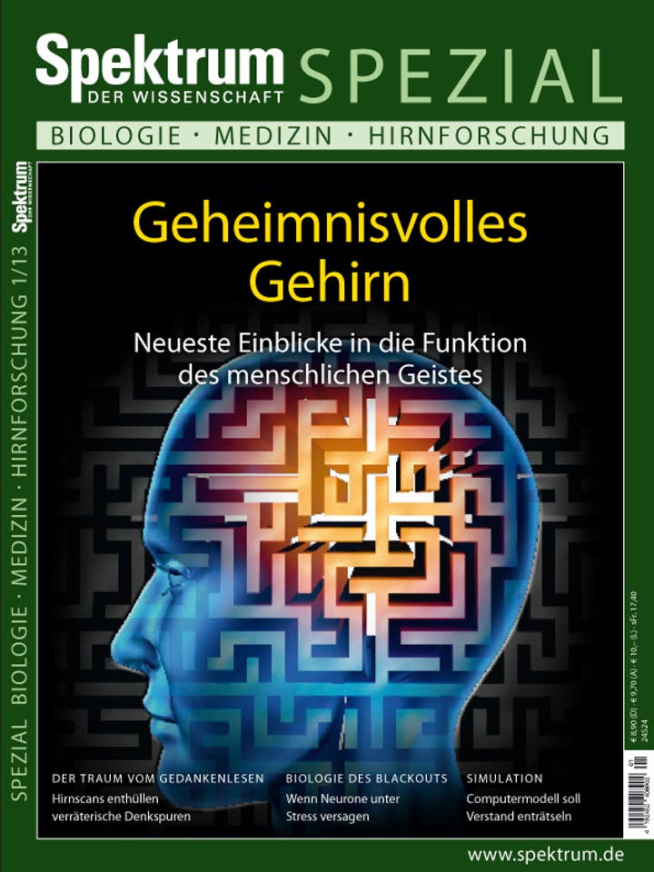 Spektrum der Wissenschaft Spezial Biologie – Medizin – Hirnforschung 1/2013<br /> Geheimnisvolles Gehirn