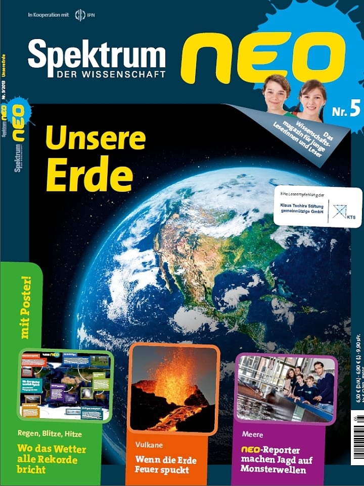 Nr. 5 (2013) Nr. 5 (2013)
