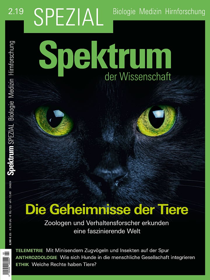 Spezial Biologie - Medizin - Hirnforschung 2/2019 Spezial Biologie - Medizin - Hirnforschung 2/2019