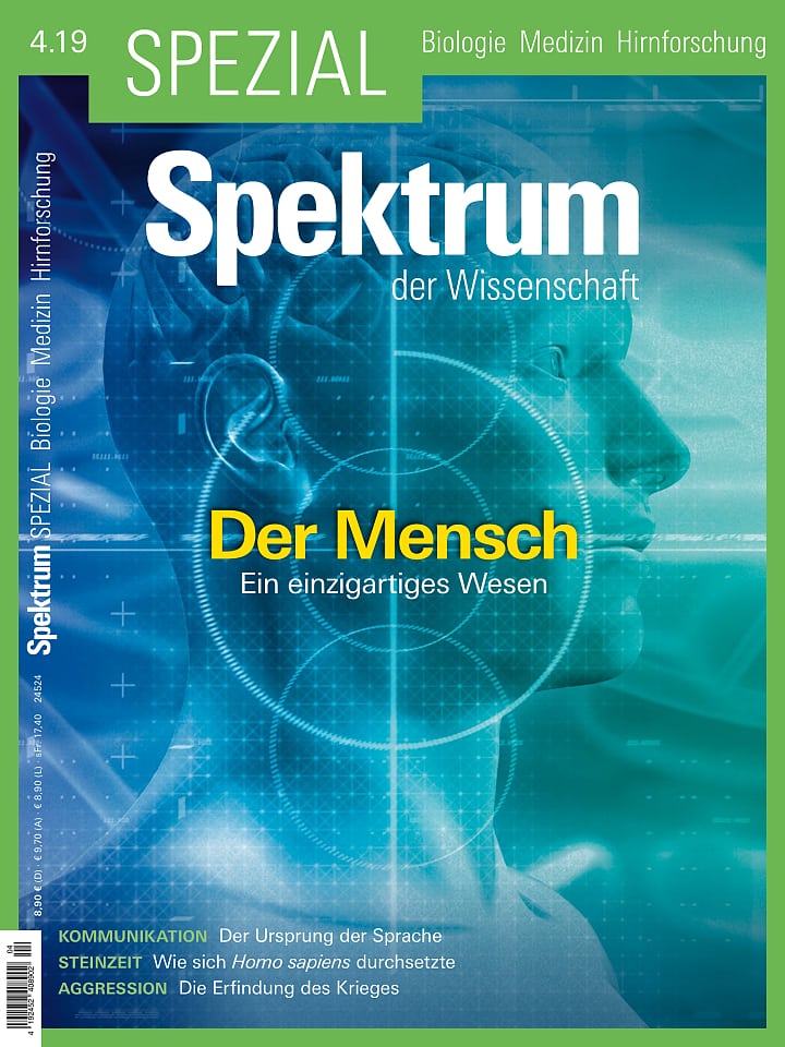 Der Mensch - Spektrum Spezial Biologie - Medizin – Hirnforschung 4/2019 ...