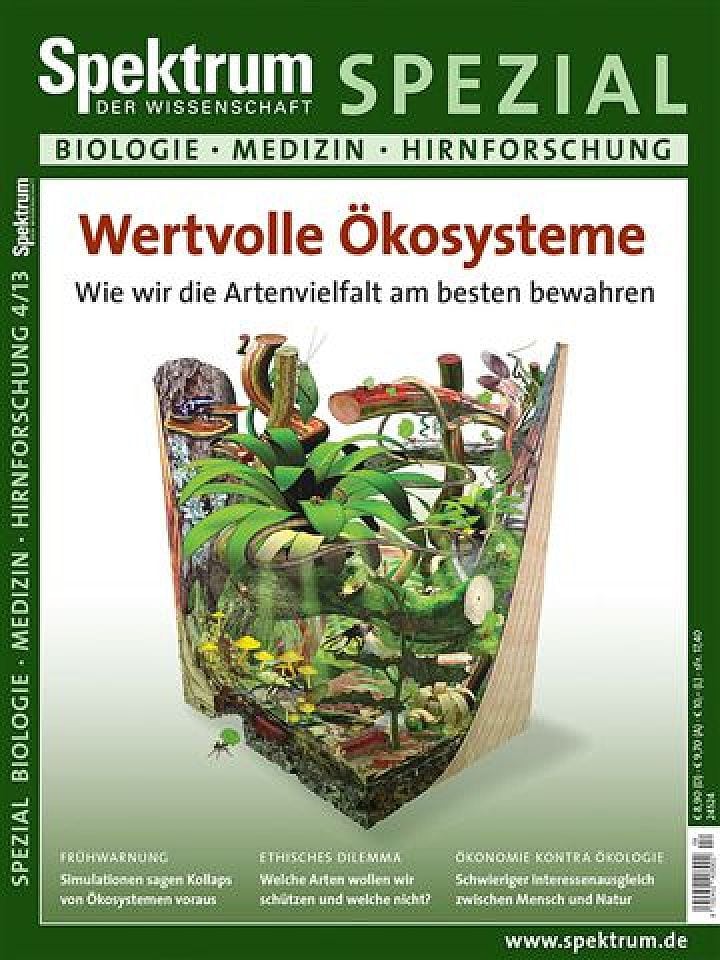 Spezial Biologie - Medizin - Hirnforschung 4/2013 Spezial Biologie - Medizin - Hirnforschung 4/2013