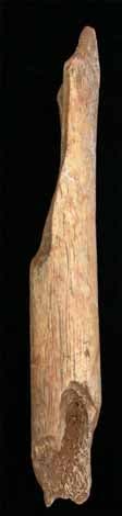 Oberschenkelknochen eines Neandertalers