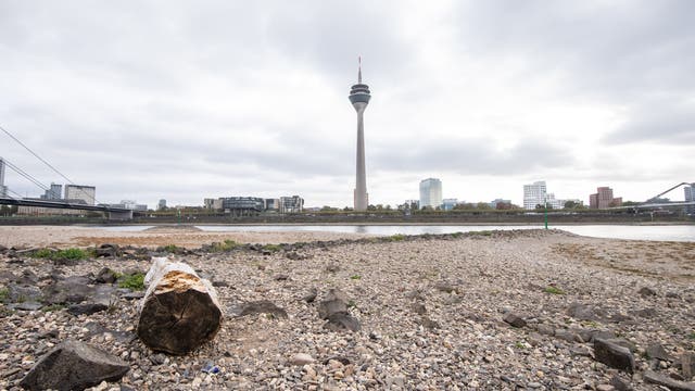 Extremes Niedrigwasser im Rhein bei Düsseldorf, eine Folge der Dürre von 2018