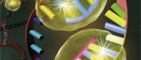 RNA RNA