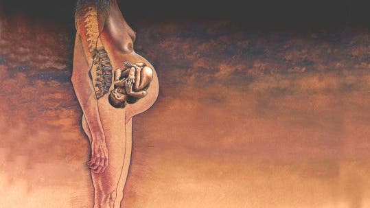 Schwangere Australopiteca