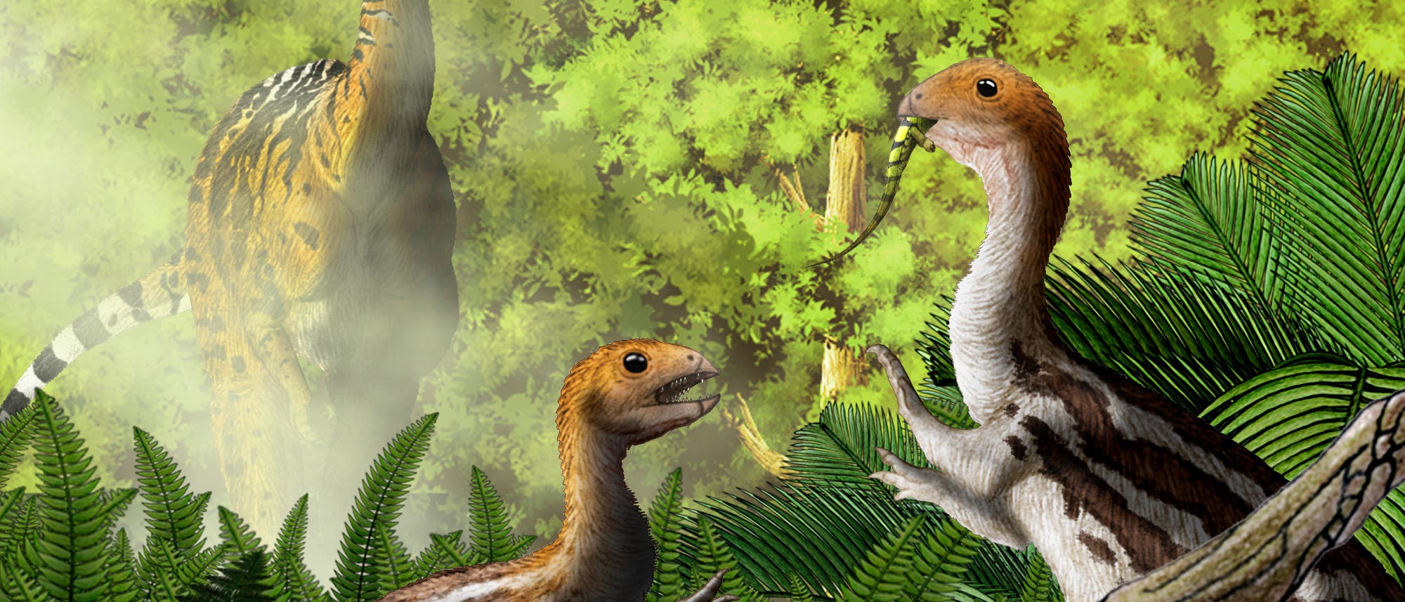Ein kleiner Dinosaurier aus dem Oberjura Ein kleiner Dinosaurier aus dem Oberjura
