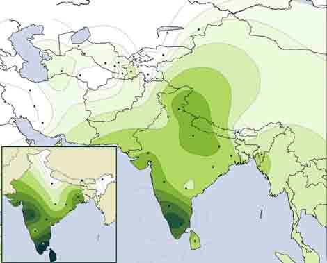 Verbreitung des Haplotyps H in Südasien