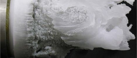"Eisbart" an Eisbohrkern "Eisbart" an Eisbohrkern