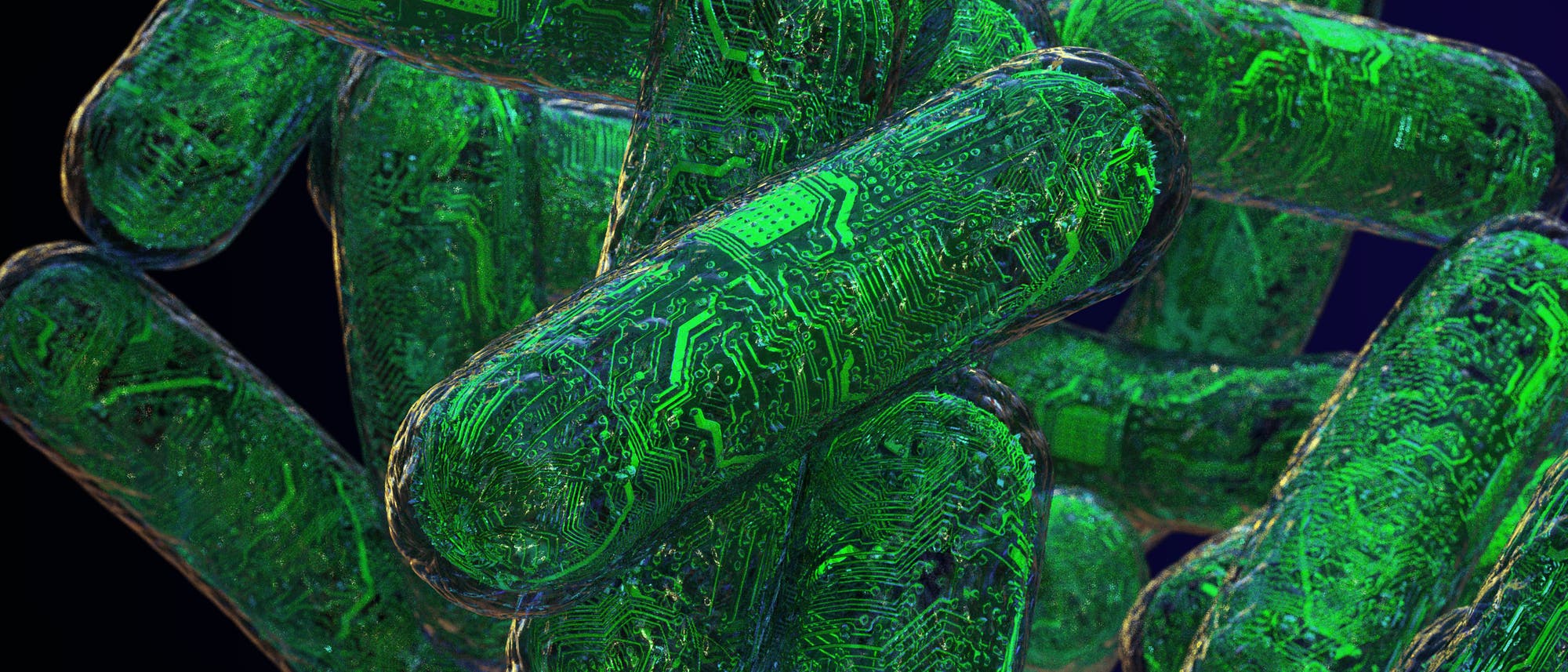 Grafische Darstellung von biologischen Computern Grafische Darstellung von biologischen Computern
