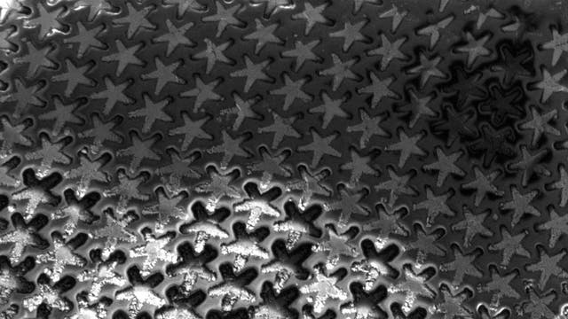 Elektronenmikroskopische Aufnahme einer Art Folie aus mikrometergroßen Sternen