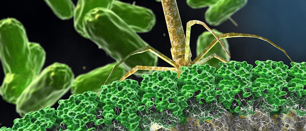 Künstlerische Darstellung eines Antibiotikum das eine Bakterien-Zellwand attackiert Künstlerische Darstellung eines Antibiotikum das eine Bakterien-Zellwand attackiert