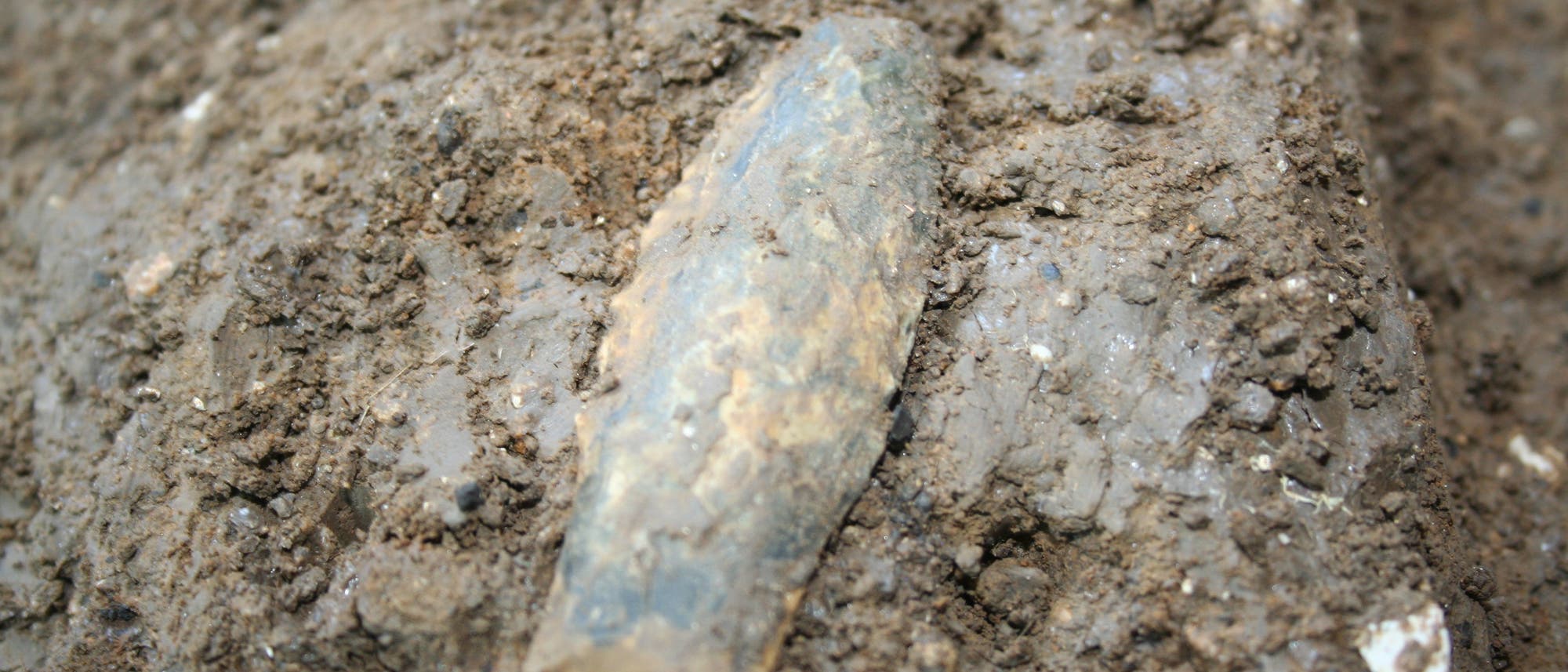 15 000 Jahre alte »Western-Stemmed«-Spitze 15 000 Jahre alte »Western-Stemmed«-Spitze