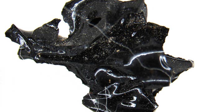 Wenige Zentimeter großes Glasstück, das einst Teil eines menschlichen Gehirns gewesen sein könnte. 