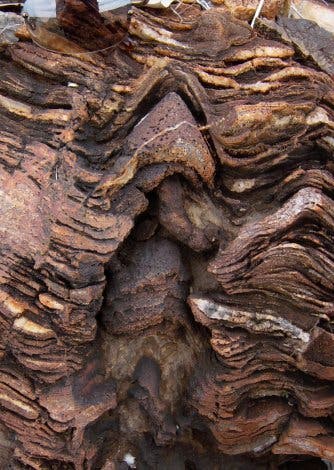 Verwitterter Stromatolithenkegel