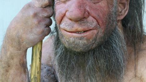 Neandertaler