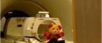 fMRI mit Teddybär
