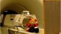 fMRI mit Teddybär