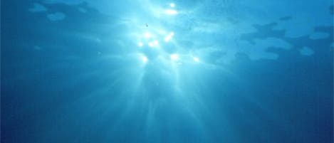 Unter Wasser Unter Wasser