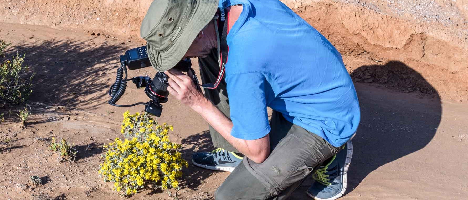 Martin Freiberg fotografiert eine Pflanze Martin Freiberg fotografiert eine Pflanze