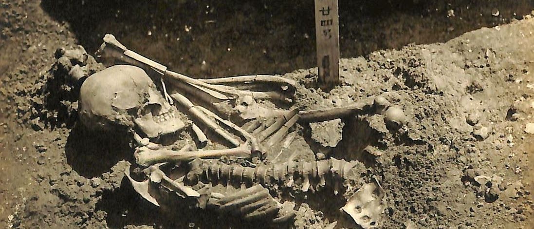 Das Skelett Tsukumo 24 während der Ausgrabung. Das Skelett Tsukumo 24 während der Ausgrabung.